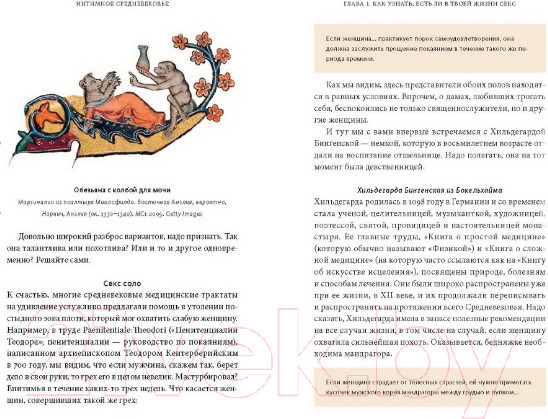 Изображение товара Книга МИФ Интимное Средневековье. Истории о страсти и целомудрии (Гилберт Р.)