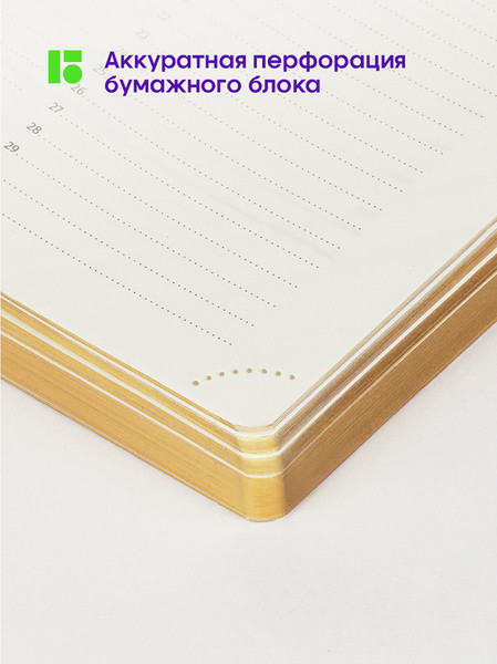 Изображение товара Ежедневник Berlingo Style / UD2_99502 (136л, зеленый)