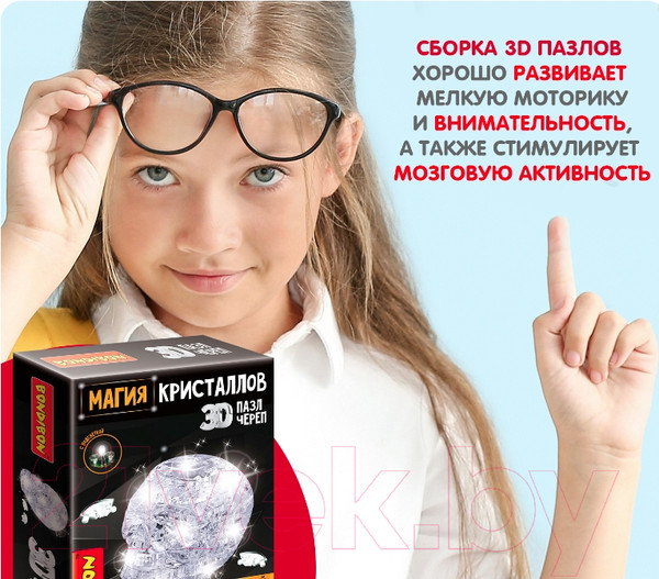 Изображение товара 3D-пазл Bondibon Череп / ВВ5231