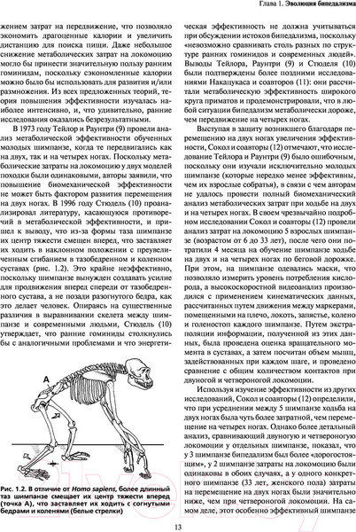Изображение товара Книга Эксмо Локомоция человека. Протокол обследования, оценка, лечение (Мишо Т.С.)