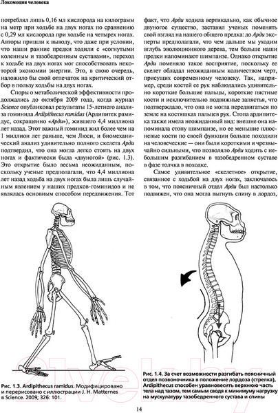 Изображение товара Книга Эксмо Локомоция человека. Протокол обследования, оценка, лечение (Мишо Т.С.)