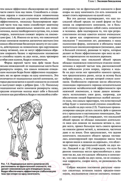 Изображение товара Книга Эксмо Локомоция человека. Протокол обследования, оценка, лечение (Мишо Т.С.)