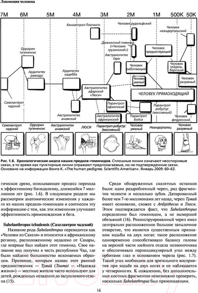 Изображение товара Книга Эксмо Локомоция человека. Протокол обследования, оценка, лечение (Мишо Т.С.)