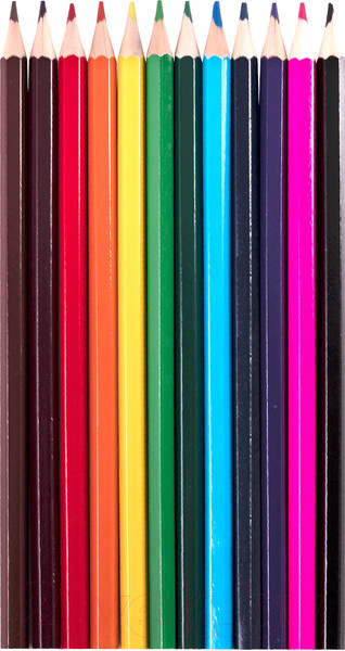 Изображение товара Набор цветных карандашей Пифагор Веселая такса / 181806 (12цв)