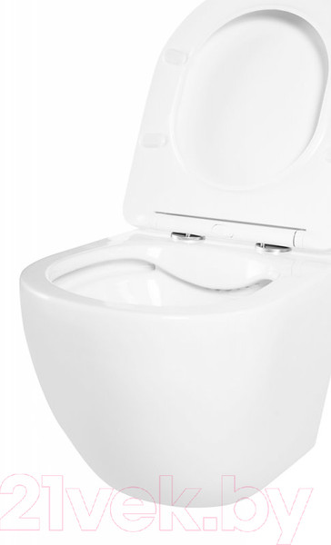 Изображение товара Унитаз подвесной BelBagno BB3105CHR/SC