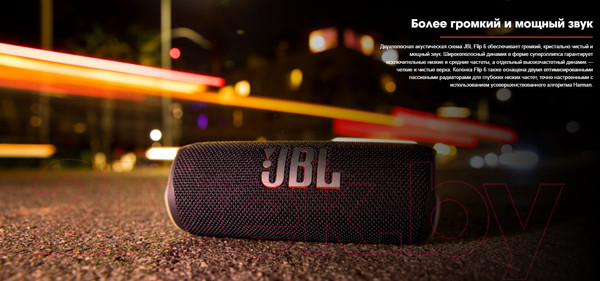 Изображение товара Портативная колонка JBL Flip 6 (черный)