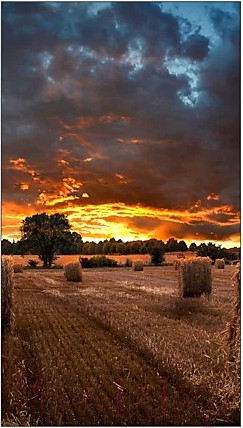 Изображение товара Информационная панель Samsung VM46T-U / LH46VMTUBGBXCI (черный)