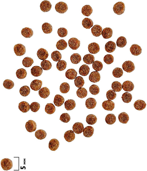 Изображение товара Сухой корм для собак Brit Premium Dog Adult Small с курицей / 5049899 (1кг)