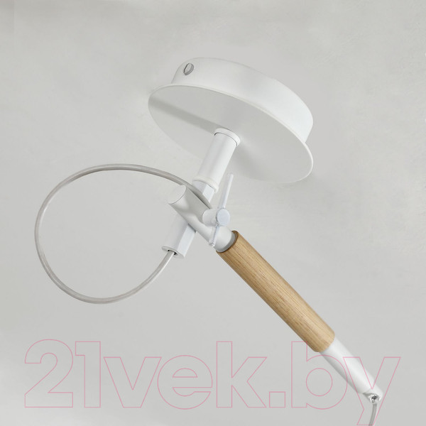 Изображение товара Потолочный светильник F-Promo F-Promo Eureka 3005-1P