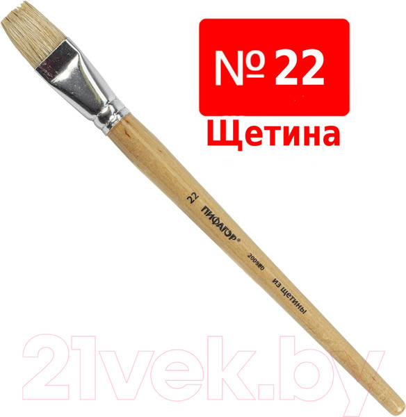 Изображение товара Кисть для рисования Пифагор Щетина №22 / 200880 (плоская)