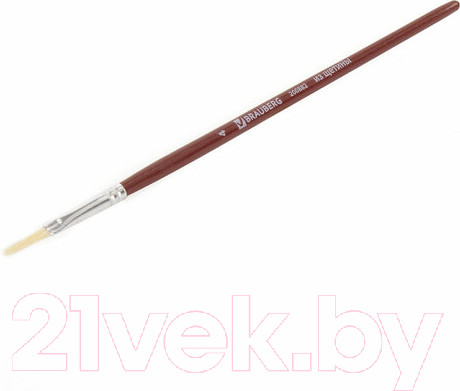 Изображение товара Кисть для рисования Brauberg Щетина 4 / 200882 (плоская)