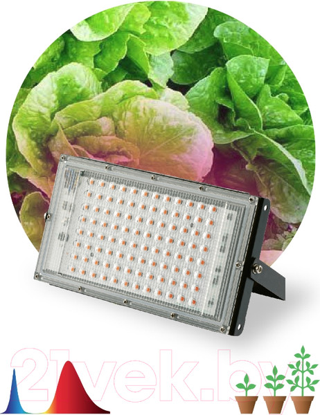 Изображение товара Светильник для растений ЭРА FITO-80W-RB-LED-Y / Б0053082