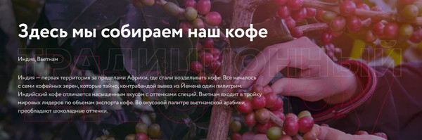 Изображение товара Кофе молотый Жокей Традиционный / Nd-00001623 (250г)