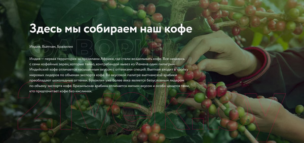 Изображение товара Кофе растворимый Жокей Фаворит / Nd-00001952  (95г)