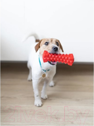 Изображение товара Игрушка для собак Fancy Pets Кусалка / FPP11