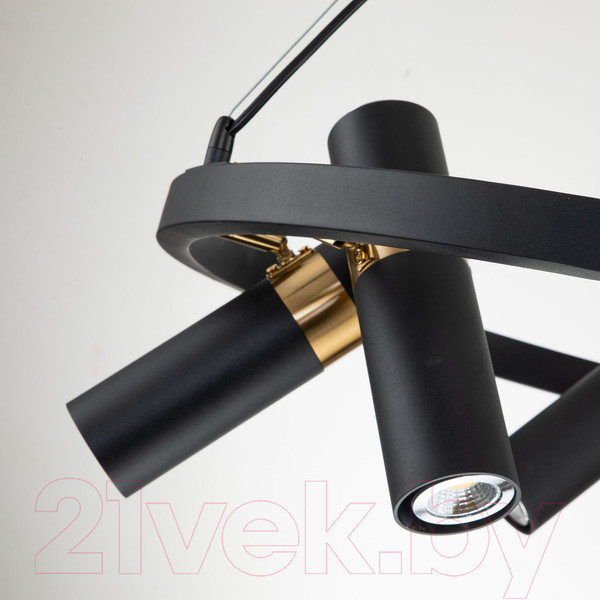 Изображение товара Люстра FAVOURITE Light Point 2997-6P