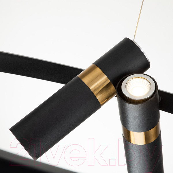 Изображение товара Люстра FAVOURITE Light Point 2997-6P