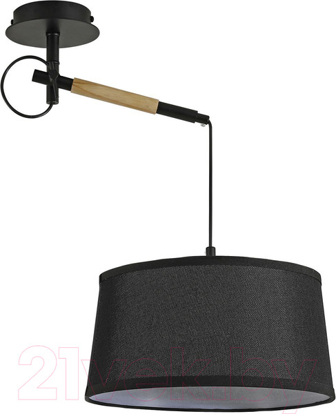 Изображение товара Потолочный светильник F-Promo F-Promo Eureka 3006-1P