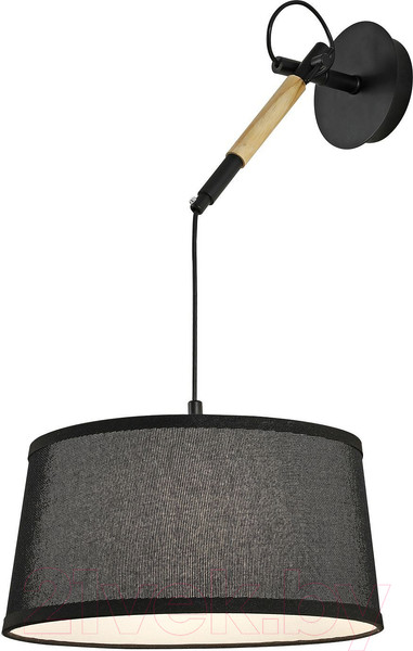 Изображение товара Потолочный светильник F-Promo F-Promo Eureka 3006-1P