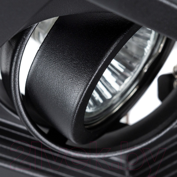 Изображение товара Точечный светильник Arte Lamp Canis A6661PL-1BK