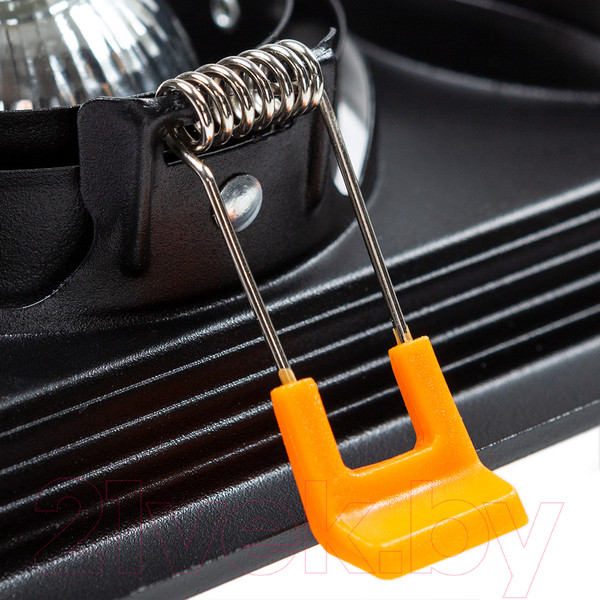 Изображение товара Точечный светильник Arte Lamp Canis A6661PL-2BK