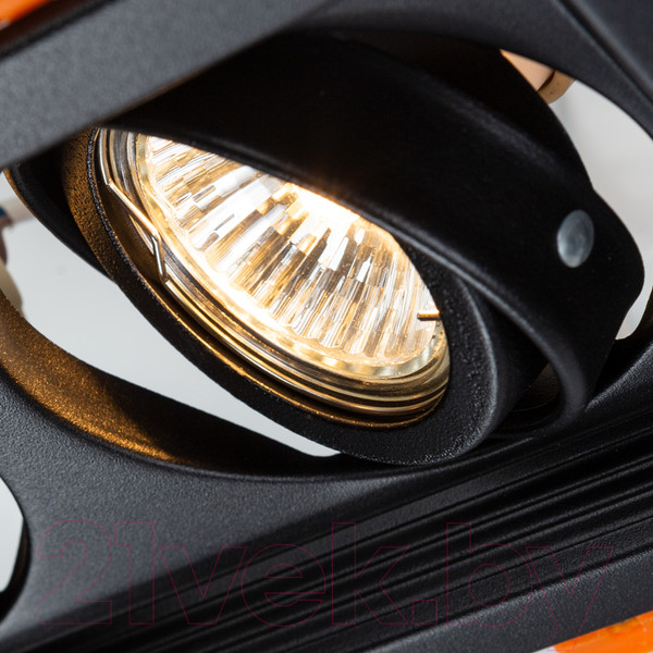 Изображение товара Точечный светильник Arte Lamp Canis A6661PL-2BK