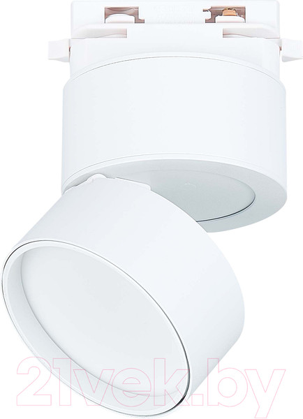 Изображение товара Трековый светильник ST Luce ST651.536.09