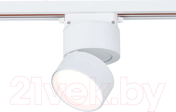 Изображение товара Трековый светильник ST Luce ST651.536.09