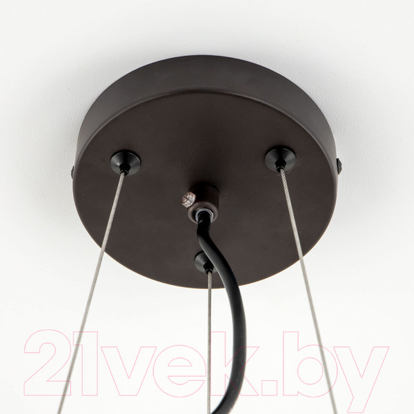 Изображение товара Потолочный светильник Citilux Робин CL535245