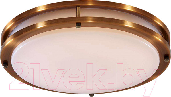Изображение товара Потолочный светильник Citilux Бостон CL709323N
