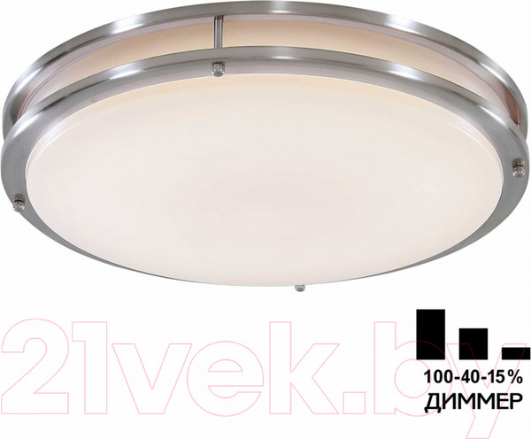 Изображение товара Потолочный светильник Citilux Бостон CL709501N