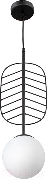 Изображение товара Потолочный светильник Vitaluce V2985-1/1S