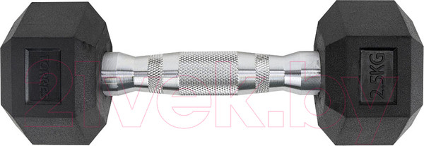 Изображение товара Гантель Torres PL519025 (2.5кг, черный)