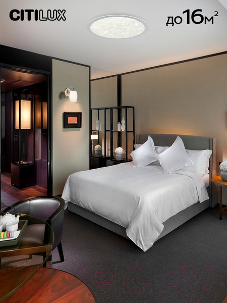 Изображение товара Потолочный светильник Citilux Спутник CL734480G