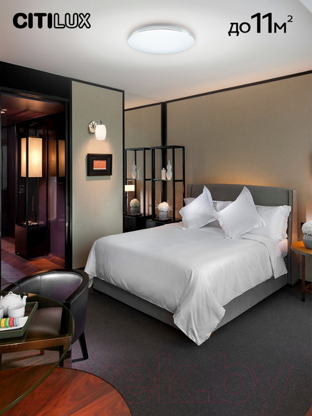 Изображение товара Потолочный светильник Citilux Симпла CL714900G