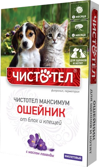 Изображение товара Ошейник от блох Чистотел Максимум Юниор для щенков и котят C612 (фиолетовый)