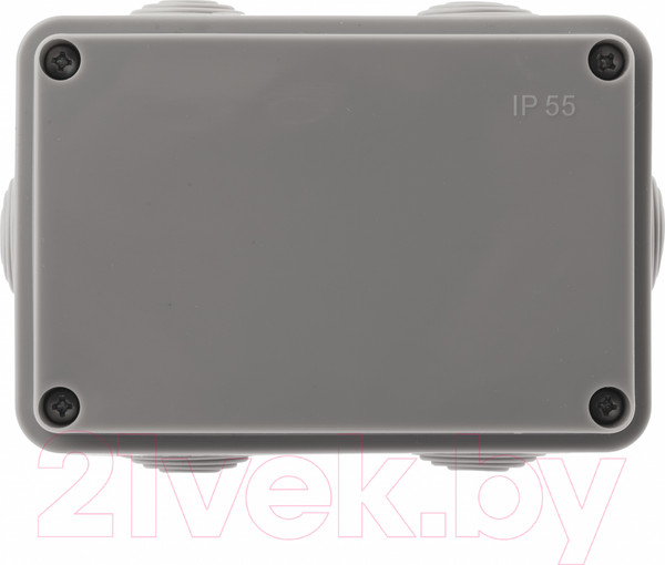 Изображение товара Коробка распределительная ЭРА KORv-120-80-50-6g / Б0052730
