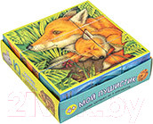 Изображение товара Развивающая игра Айрис-пресс Умные кубики в поддончике. Мой пушистик / 9785811280094