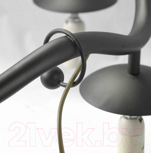 Изображение товара Люстра Lussole LGO LSP-0212