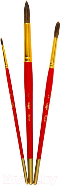 Изображение товара Набор кистей ГАММА Пони / 280618.09.03 (3шт)