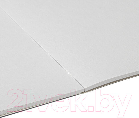 Изображение товара Альбом для рисования Brauberg Art / 106141