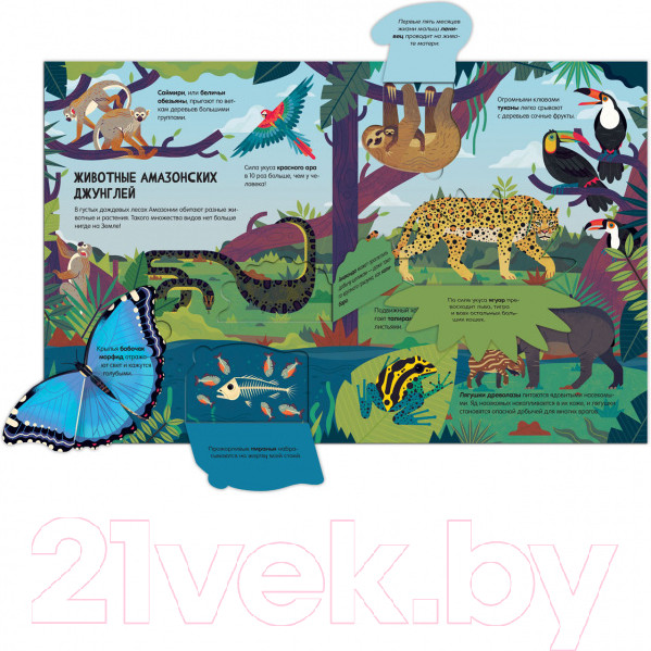 Изображение товара Энциклопедия CLEVER Животные. Энциклопедия с окошками (Петти У.)