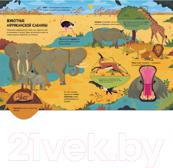 Изображение товара Энциклопедия CLEVER Животные. Энциклопедия с окошками (Петти У.)