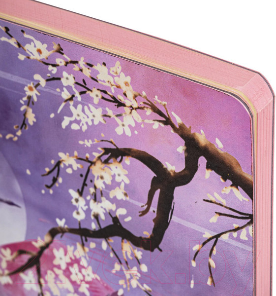 Изображение товара Записная книжка Brauberg Vista Sakura / 112076