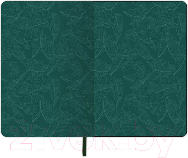 Изображение товара Записная книжка Brauberg Vista Nature / 112078