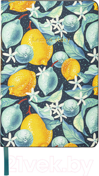 Изображение товара Записная книжка Brauberg Vista Lemon Story / 112096