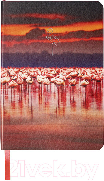 Изображение товара Записная книжка Brauberg Vista Flamingo / 112099