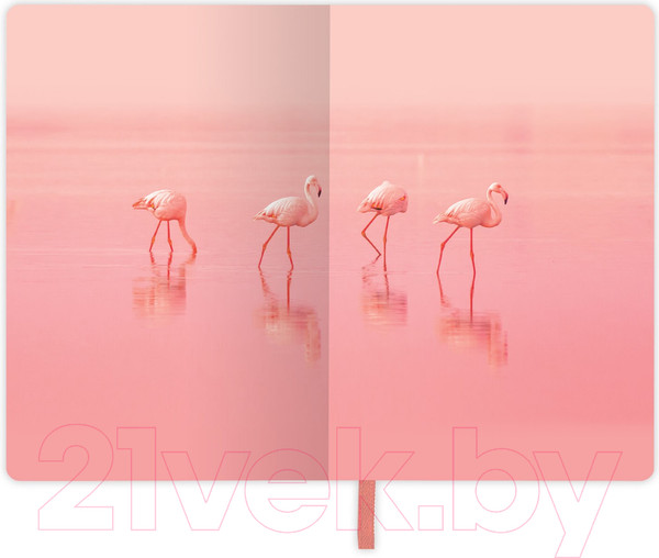 Изображение товара Записная книжка Brauberg Vista Flamingo / 112099