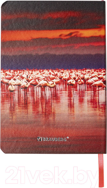 Изображение товара Записная книжка Brauberg Vista Flamingo / 112099