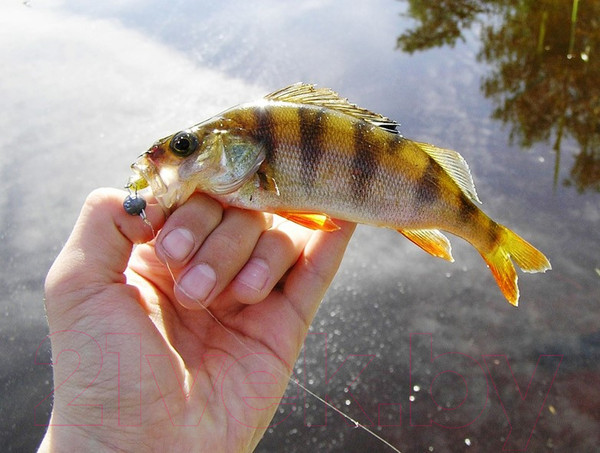 Изображение товара Мягкая приманка Lucky John Pro Series Baby Rockfish/ 140149-085 (20шт)